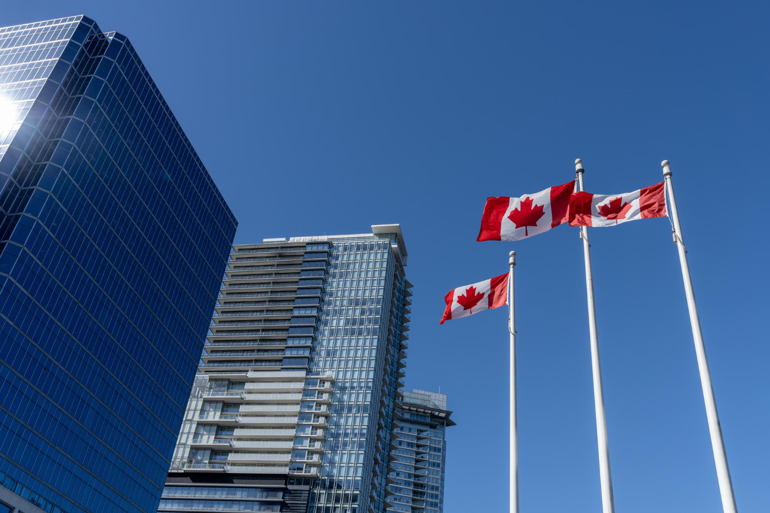C20 Guidance Correction Restores Broader Reciprocal Employment Test