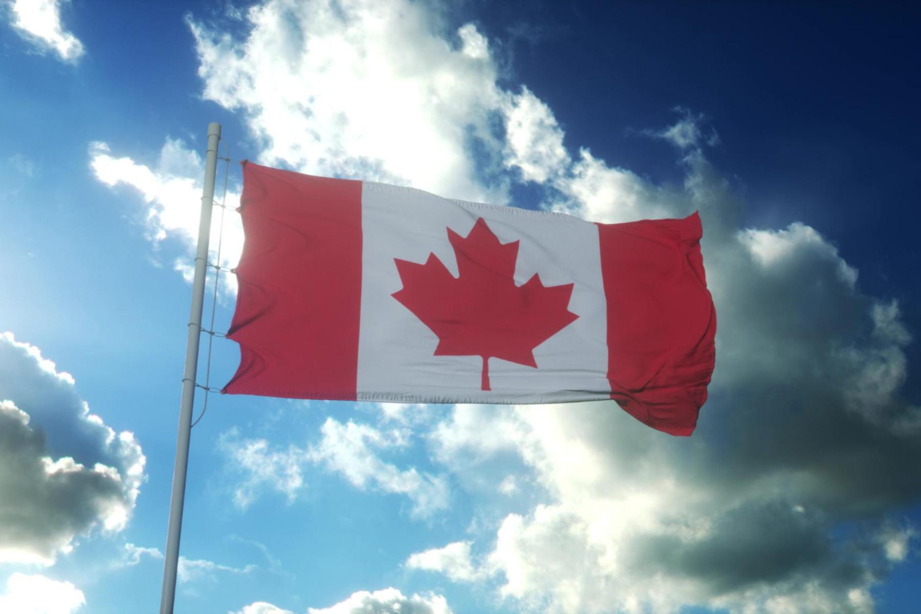 Study Permits Surge in February