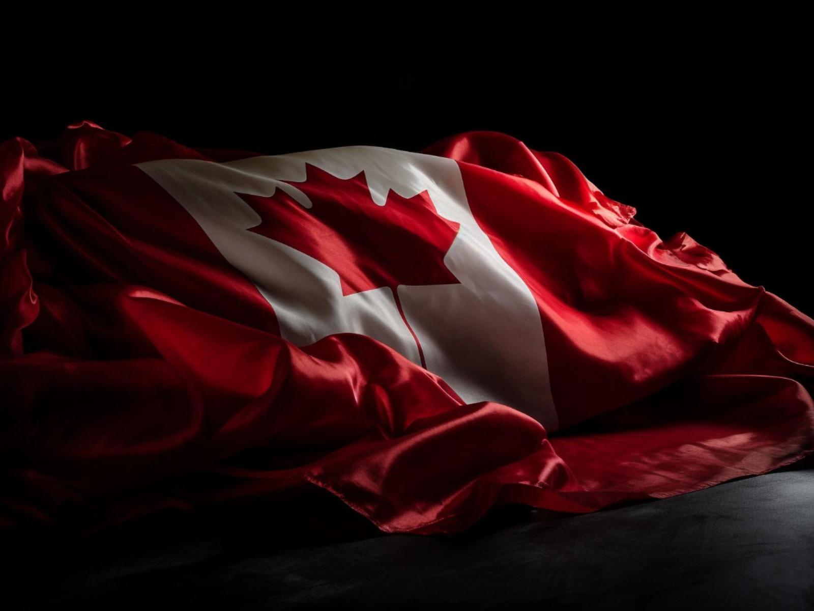 How Immigration Lawyers Improve Your IRCC Application