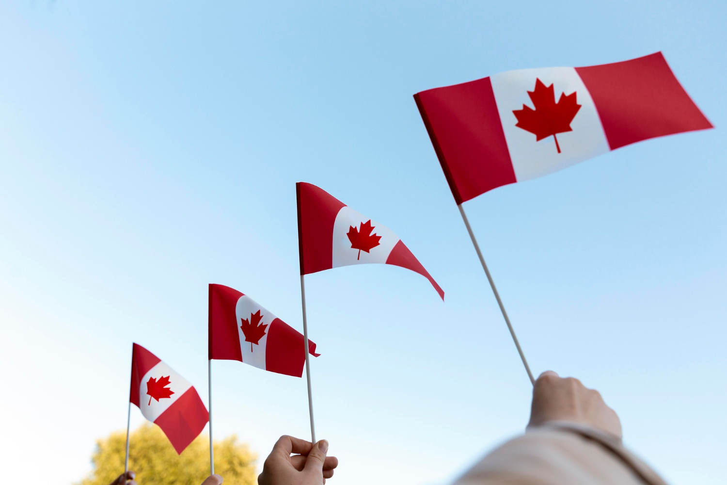 Understanding the Advantages of Free Consultations with a Canadian Immigration Lawyer