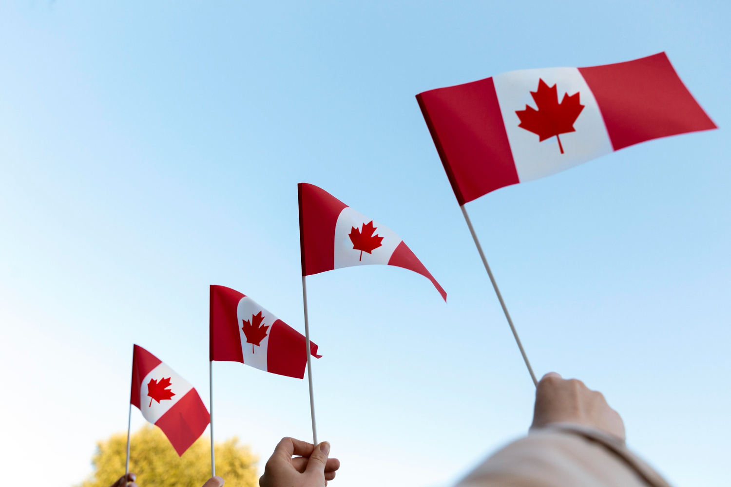 Frequent Changes in Canadian Immigration Laws and Role of a Diligent Immigration Attorney