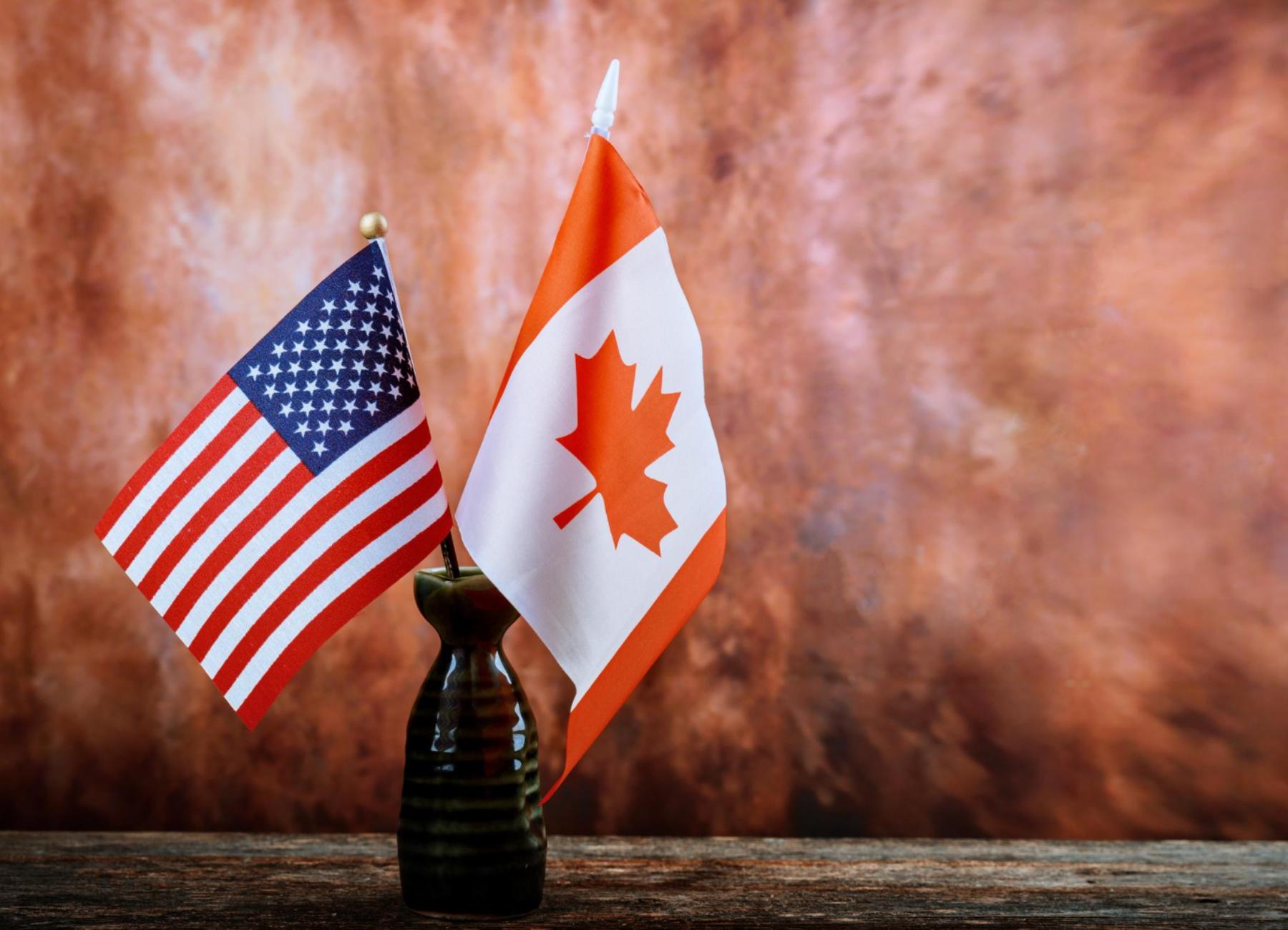 new immigration by descent for Americans