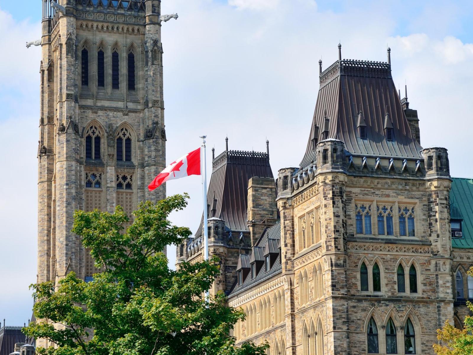 procedural fairness letter lawyer