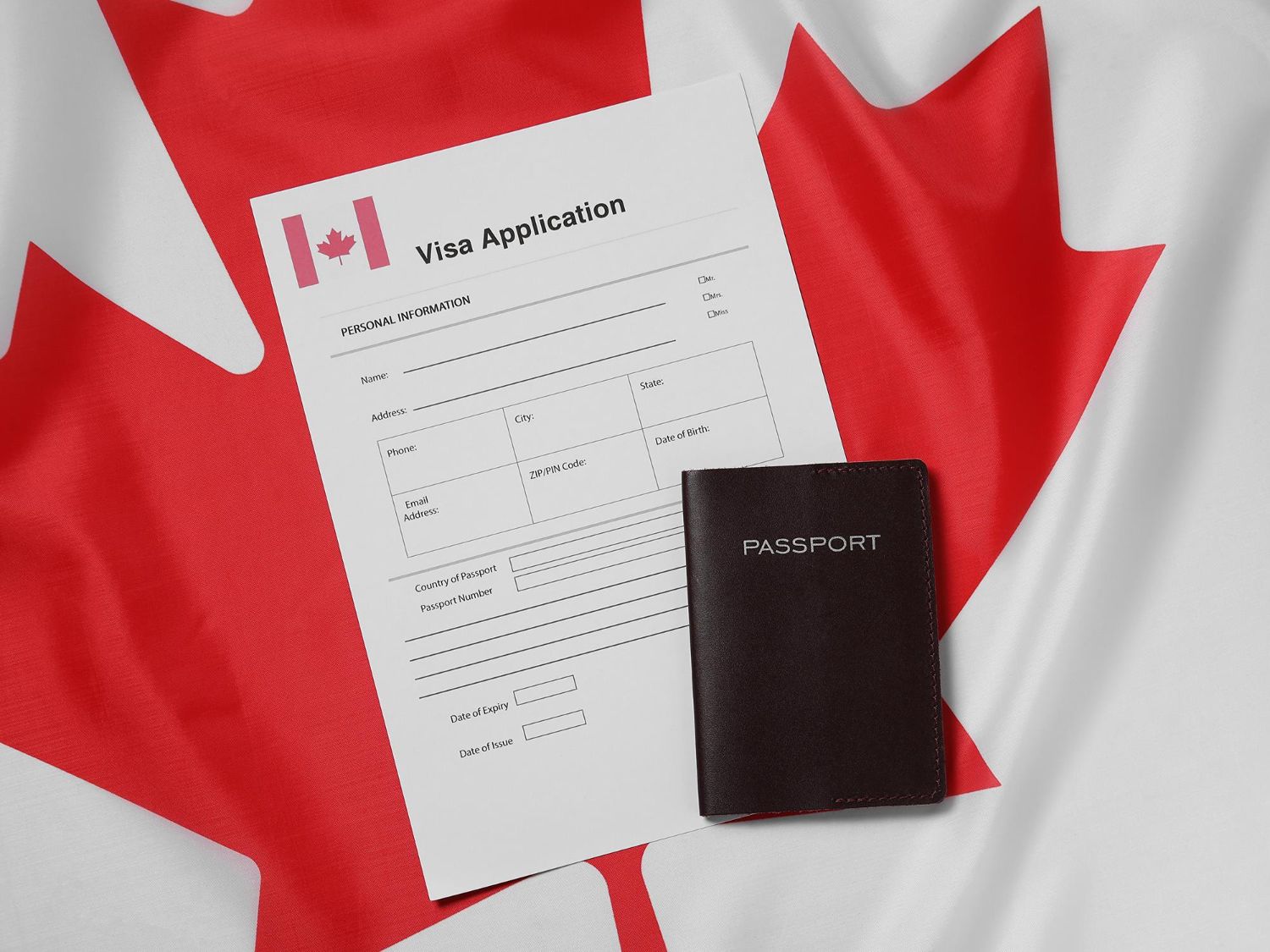 visa application form